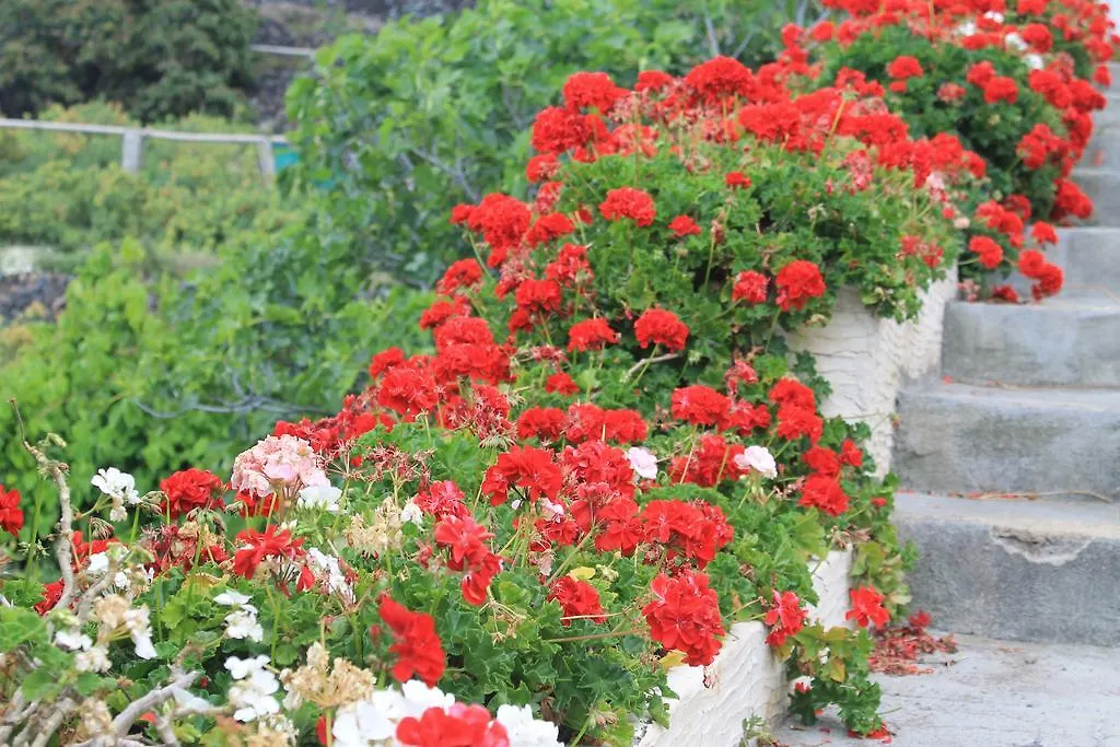 بيت للعطل فيلا غاراتْشيكوفي Finca El Cantero إسبانيا